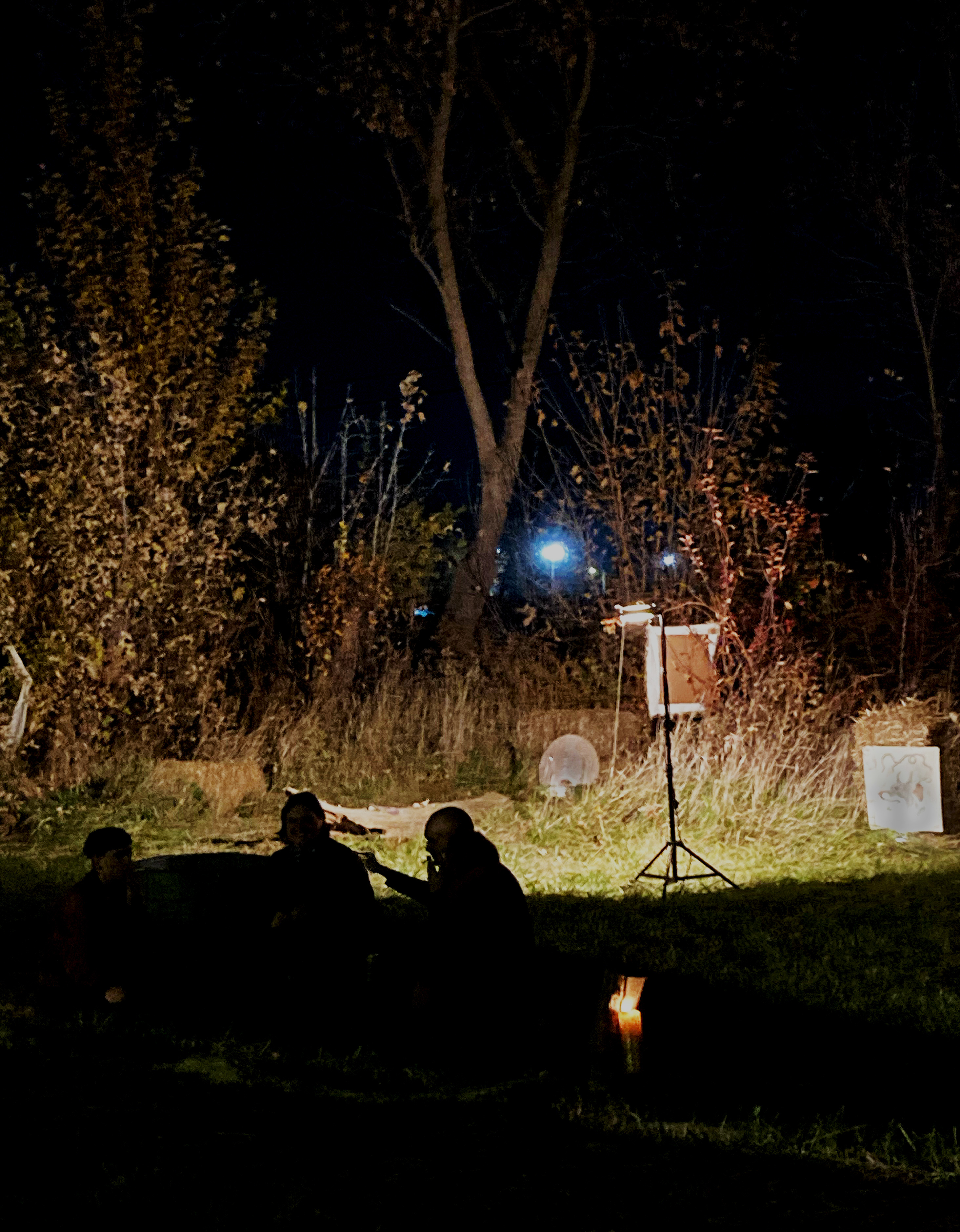 ISawSomethingInTheFields.LydiaKuzak,